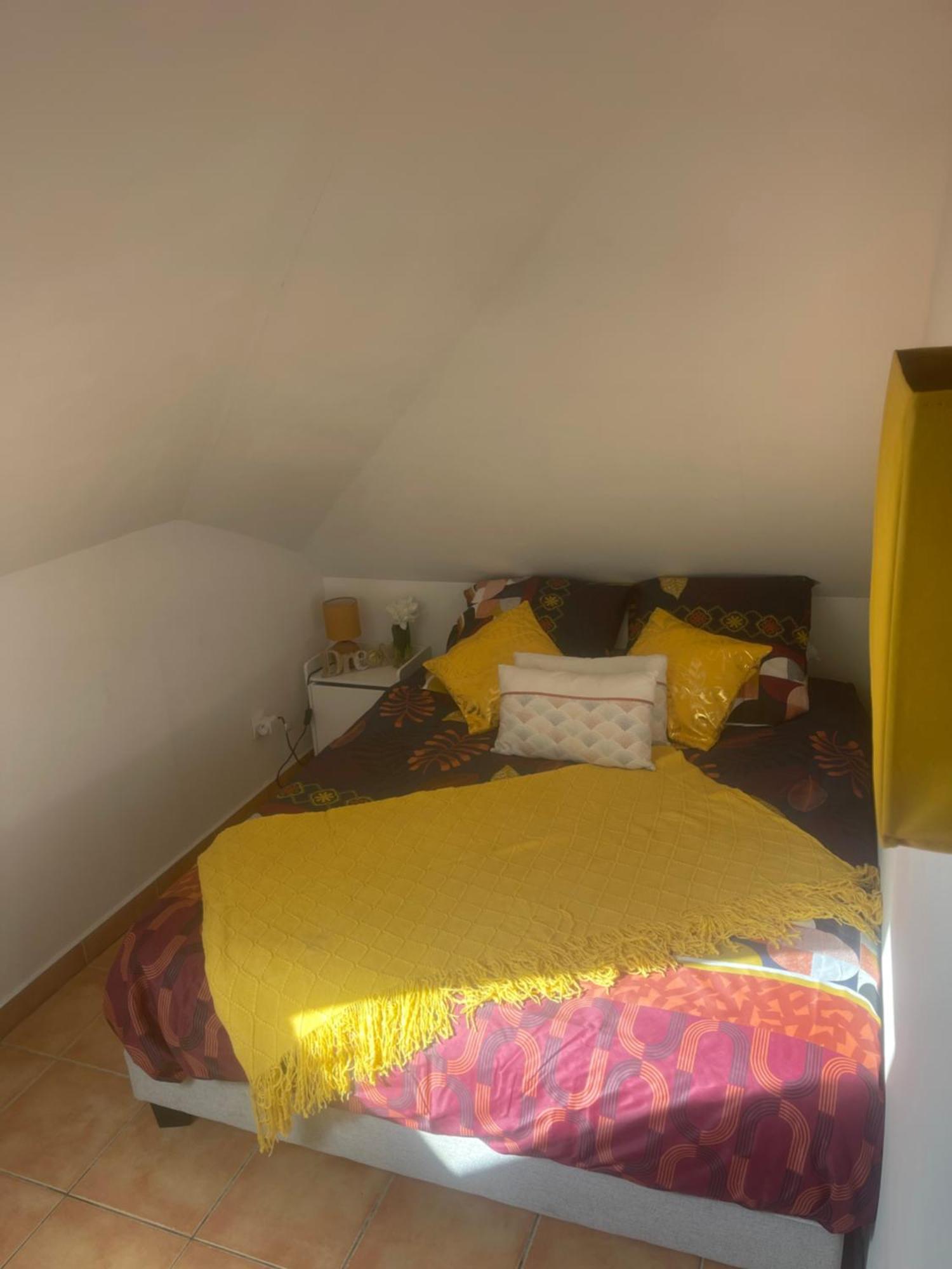 Casa Coliving Avec Chambre Salle De Bain Individuelles Privatives サン・ピエール エクステリア 写真